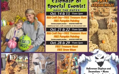 Fall Family Fun Festival!